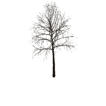 dryTree Variant